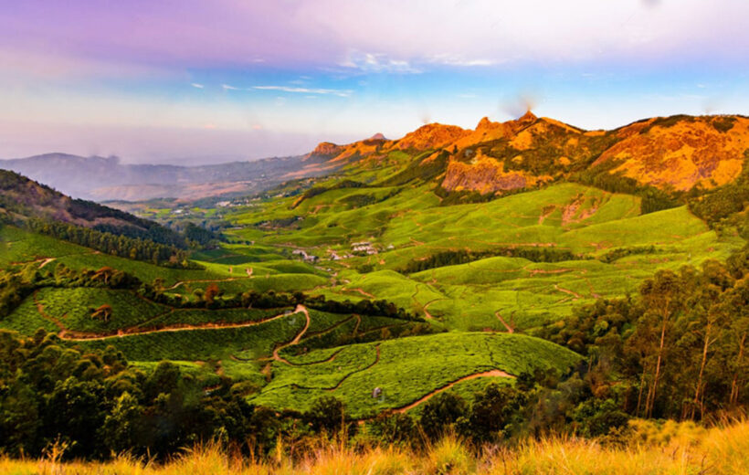 Munnar Holiday Package